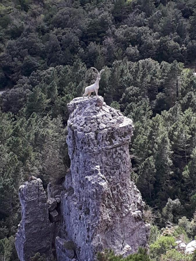 Casa De Bello Tortosa Bagian luar foto